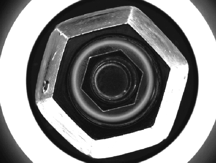 Belt-type inspection and sorting system